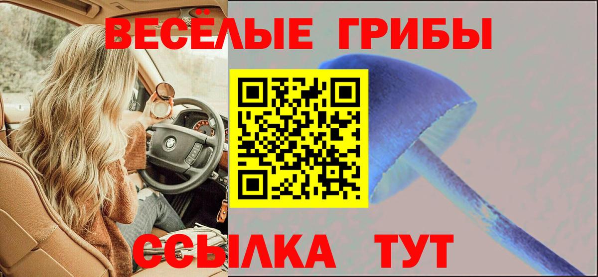 Коммунар  Галлюциногенные грибы Psilocybe  Вход с VPN 