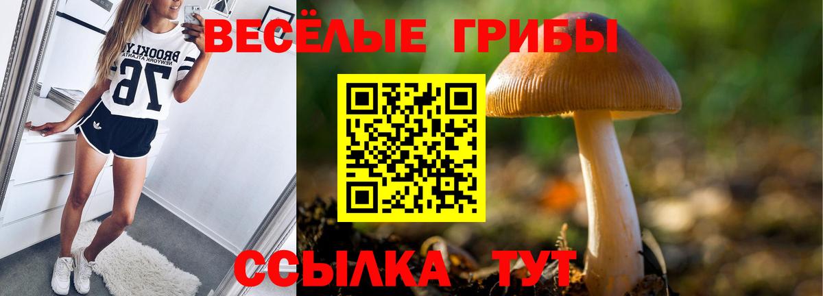 Галлюциногенные грибы Psilocybine cubensis Коммунар